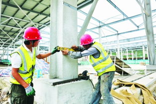 白云農創共享農副產品批發中心預計年底投用，建筑施工進展順利